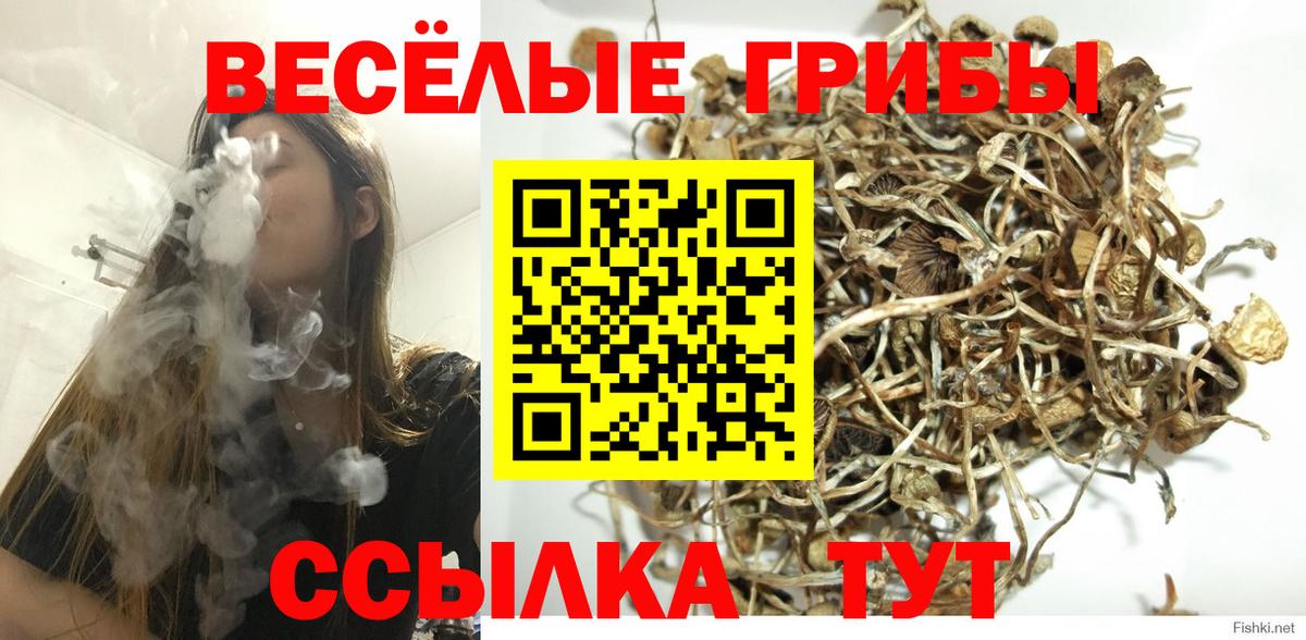 Элиста  Псилоцибиновые грибы мухоморы  Вход с VPN 