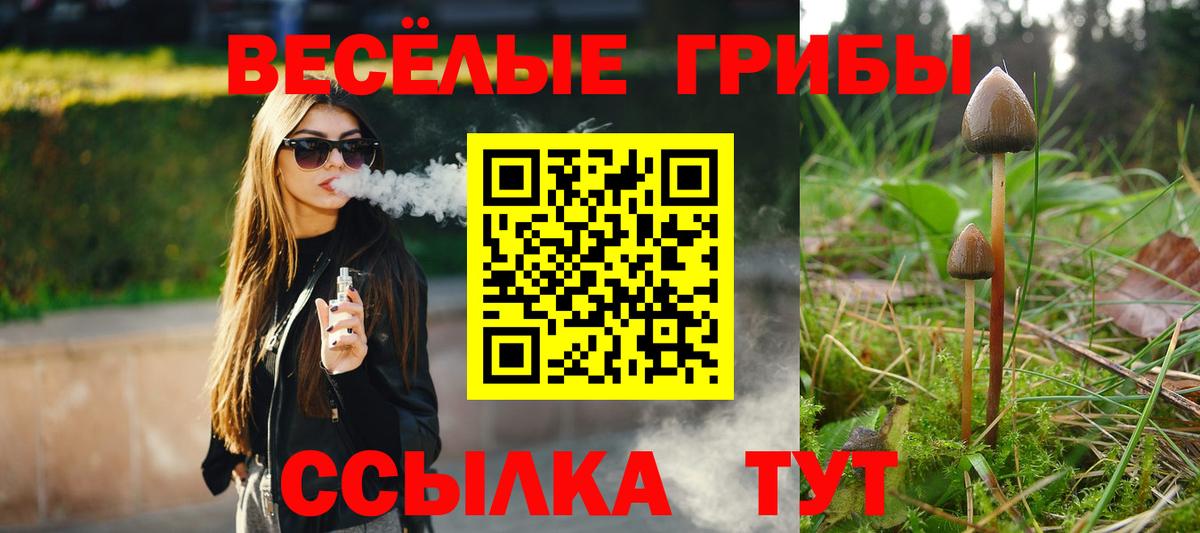 Псилоцибиновые грибы Cubensis Элиста
