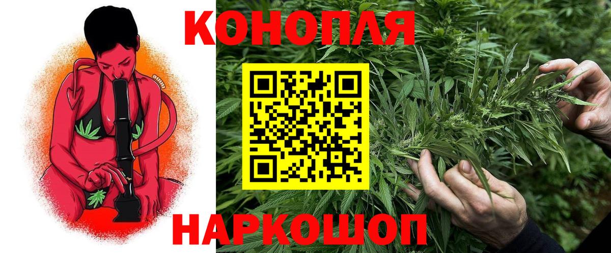 Бошки марихуана индика  Вход с VPN  Элиста  Конопля THC 21% 